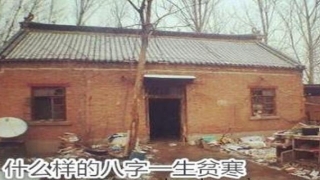 八字的财星有哪些(八字财星查询表)