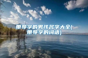 带导字的男孩名字大全(带导字的词语)