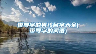 带导字的男孩名字大全(带导字的词语)