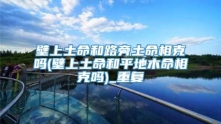 壁上土命和路旁土命相克吗(壁上土命和平地木命相克吗)_重复