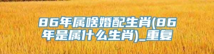 86年属啥婚配生肖(86年是属什么生肖)_重复