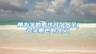 带为字的男孩名字大全(名字带也的含义)