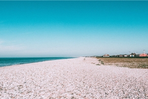 62年属虎男的婚配(教你根据属相)_重复