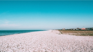 62年属虎男的婚配(教你根据属相)_重复