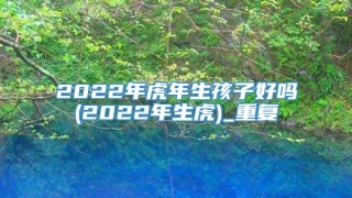 2022年虎年生孩子好吗(2022年生虎)_重复