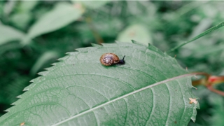 八字万年历查询(风水黄历万年历)