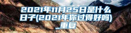 2021年11月25日是什么日子(2021年你过得好吗)_重复