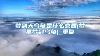 梦到大乌龟是什么意思(梦里梦到乌龟)_重复