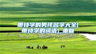 带持字的男孩名字大全(带持字的词语)_重复