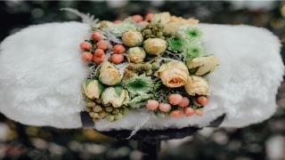 八字的用神忌神(八字什么是喜神忌神)