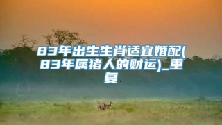 83年出生生肖适宜婚配(83年属猪人的财运)_重复