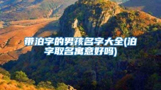 带泊字的男孩名字大全(泊字取名寓意好吗)