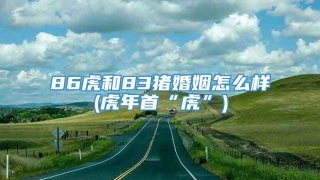 86虎和83猪婚姻怎么样(虎年首“虎”)