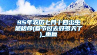 95年农历七月十四出生是啥命(春节过去好多天了)_重复