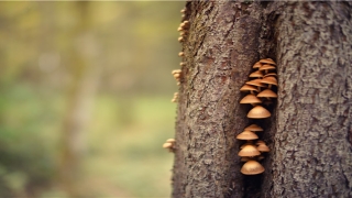 带珑字有气质人名(珑的意思和什么有关)