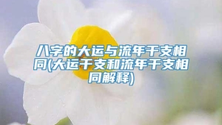 八字的大运与流年干支相同(大运干支和流年干支相同解释)
