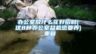 办公室放什么花好招财(这8种办公室盆栽您要养)_重复