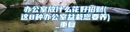 办公室放什么花好招财(这8种办公室盆栽您要养)_重复