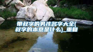 带叔字的男孩名字大全(叔字的本意是什么)_重复