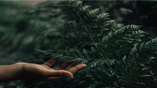 85牛男88龙女婚配好吗(至今未嫁的10位大龄港台女星)