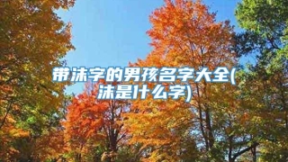 带沫字的男孩名字大全(沫是什么字)