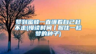 梦到蜜蜂一直缠着自己赶不走(慢读时间丨握住一粒梦的种子)