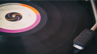 耳朵长代表寿命长吗(你能否长命百岁)