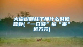 大榆树穆柱子都什么时候算卦(“一日游”被“宰”近万元)