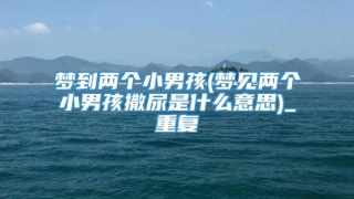 梦到两个小男孩(梦见两个小男孩撒尿是什么意思)_重复