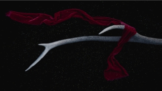 店铺门口放什么招财(朋友开业送啥)