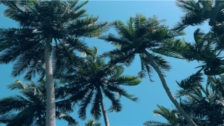 餐饮店名取名字大全免费(菜店的名字)