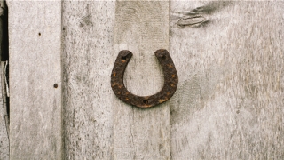 86年虎男一生婚姻状况(属虎人难逃的命中注定)