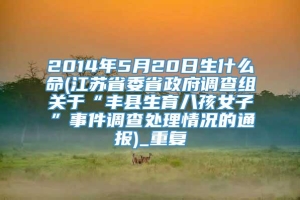 2014年5月20日生什么命(江苏省委省政府调查组关于“丰县生育八孩女子”事件调查处理情况的通报)_重复