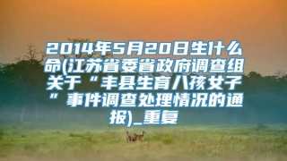 2014年5月20日生什么命(江苏省委省政府调查组关于“丰县生育八孩女子”事件调查处理情况的通报)_重复