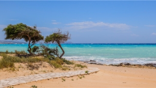 测试你未来婚姻状况(想要测试一下你婚姻的薄弱点吗)