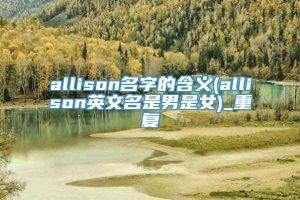 allison名字的含义(allison英文名是男是女)_重复