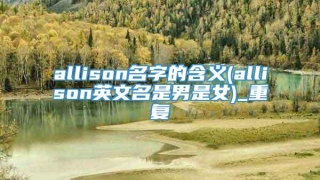 allison名字的含义(allison英文名是男是女)_重复
