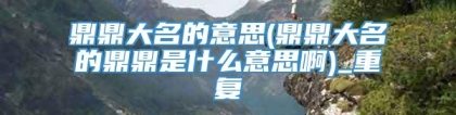 鼎鼎大名的意思(鼎鼎大名的鼎鼎是什么意思啊)_重复