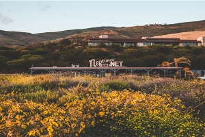 梦到被拐卖想办法逃然后醒了(梦见自己被拐卖了又逃出来了是什么预兆)