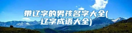 带辽字的男孩名字大全(辽字成语大全)