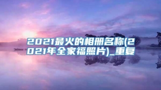 2021最火的相册名称(2021年全家福照片)_重复
