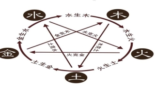 八字的大运是以天干为主还是以地支为主(五行八卦 天干地支)