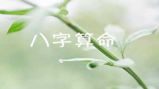 八字测试免费算命(免费算命八字算终身)