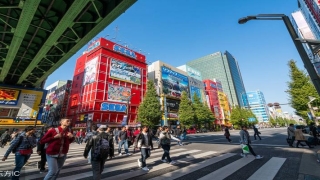 泽水困变天水讼梅花易数(六爻断卦基础细分说明)