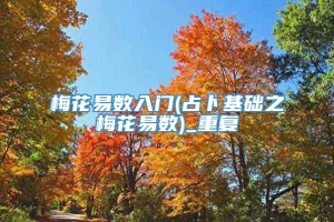 梅花易数入门(占卜基础之梅花易数)_重复