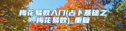 梅花易数入门(占卜基础之梅花易数)_重复