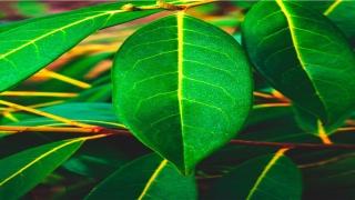 带有名字的网名(超好听古风网名)