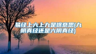 易经上六上九是啥意思(九阴真经还是六阴真经)