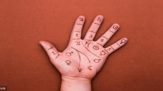 梅花易数预测感情(讲讲看手相的故事)