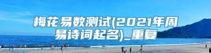 梅花易数测试(2021年周易诗词起名)_重复